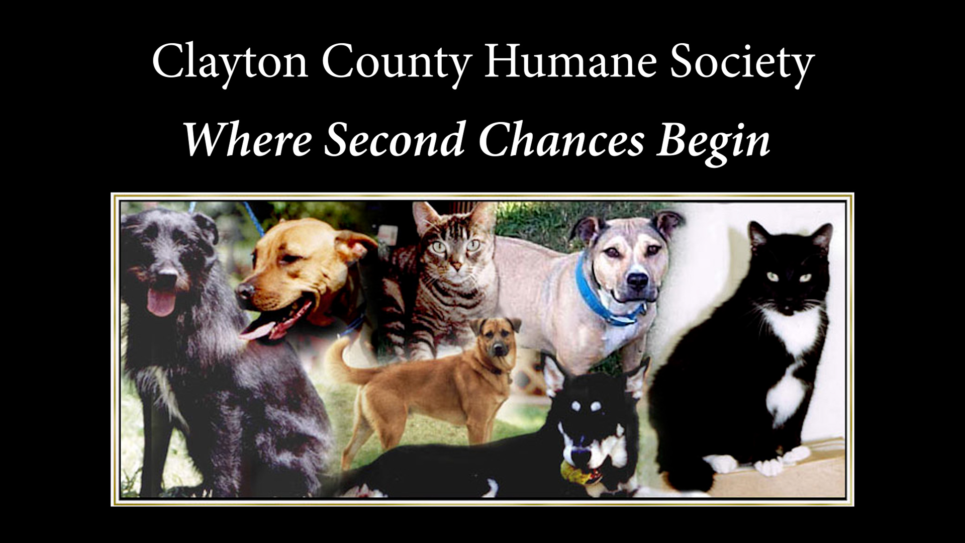 Home - Clayton County Humane Society